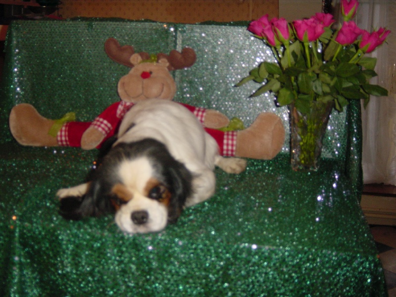 Vlika De la légende du jardin des anges