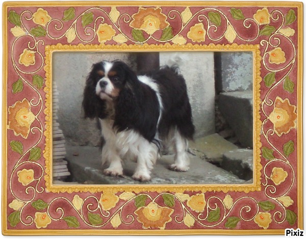 Flower girl Du jura des eaux vives