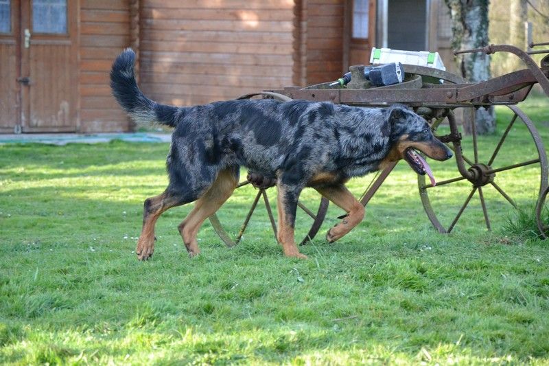 Iliade Du Royaume de Lilith