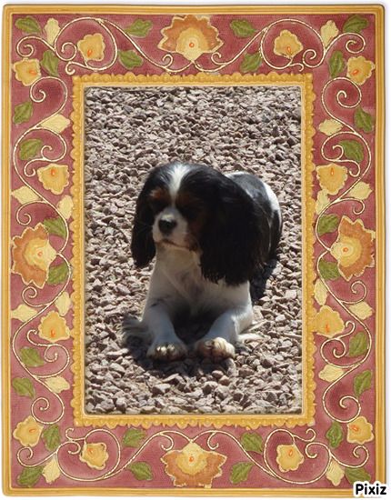 Iroise love des Joyaux d'Alésia