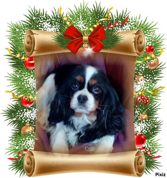 Maya de la Cité d'Hinka