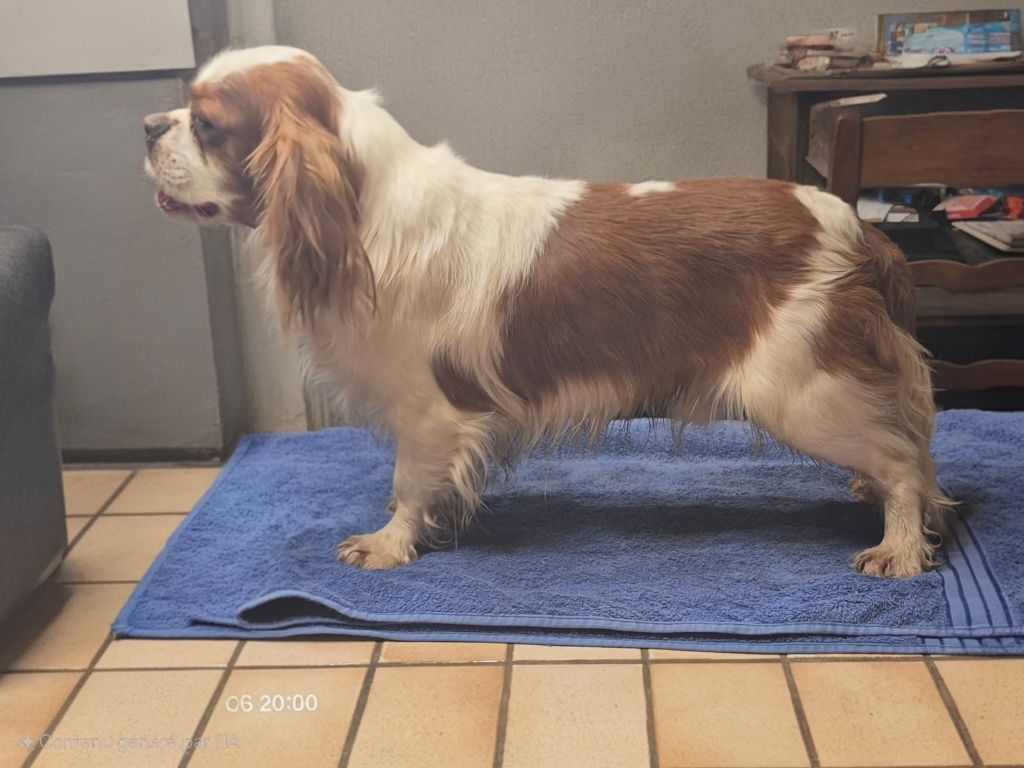 Vasco de la Cité d'Hinka